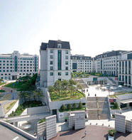 韓国